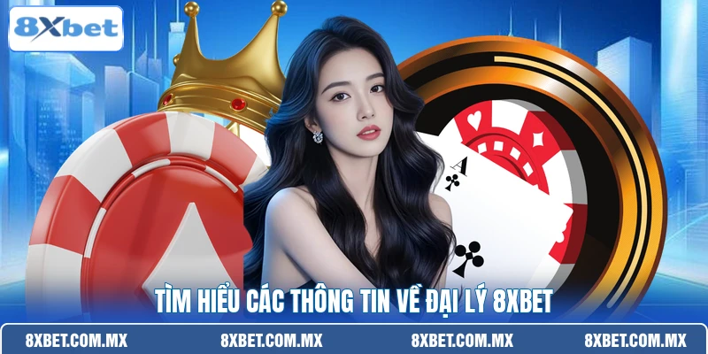 Tìm hiểu các thông tin về đại lý 8XBET